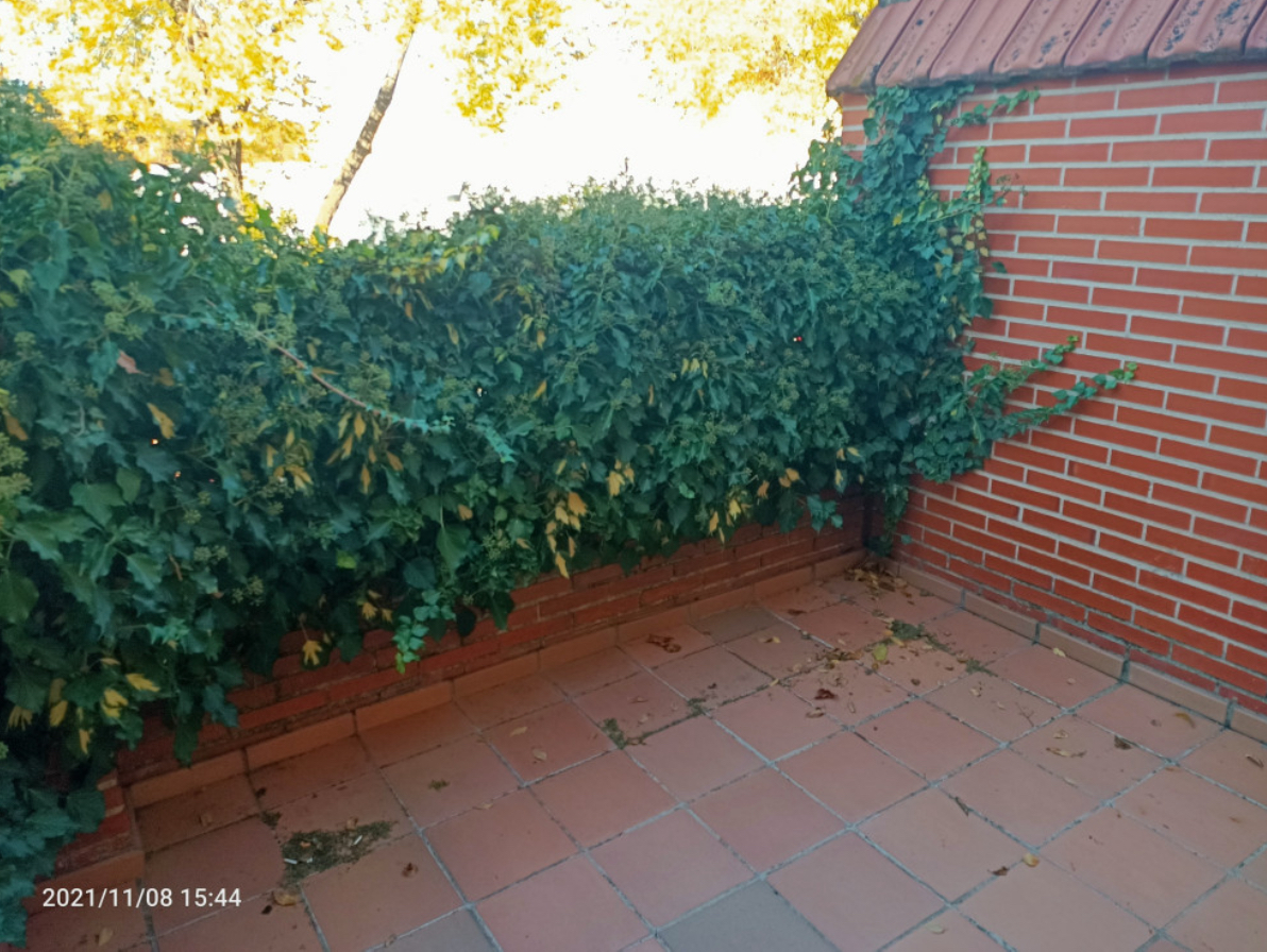 proy_ANTES_reformatrescantos_12